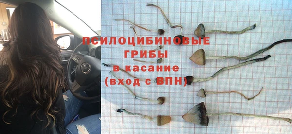 хмурый Алексеевка