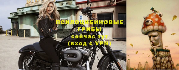 хмурый Алексеевка