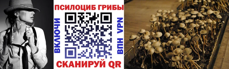 Галлюциногенные грибы Psilocybine cubensis  Арзамас 